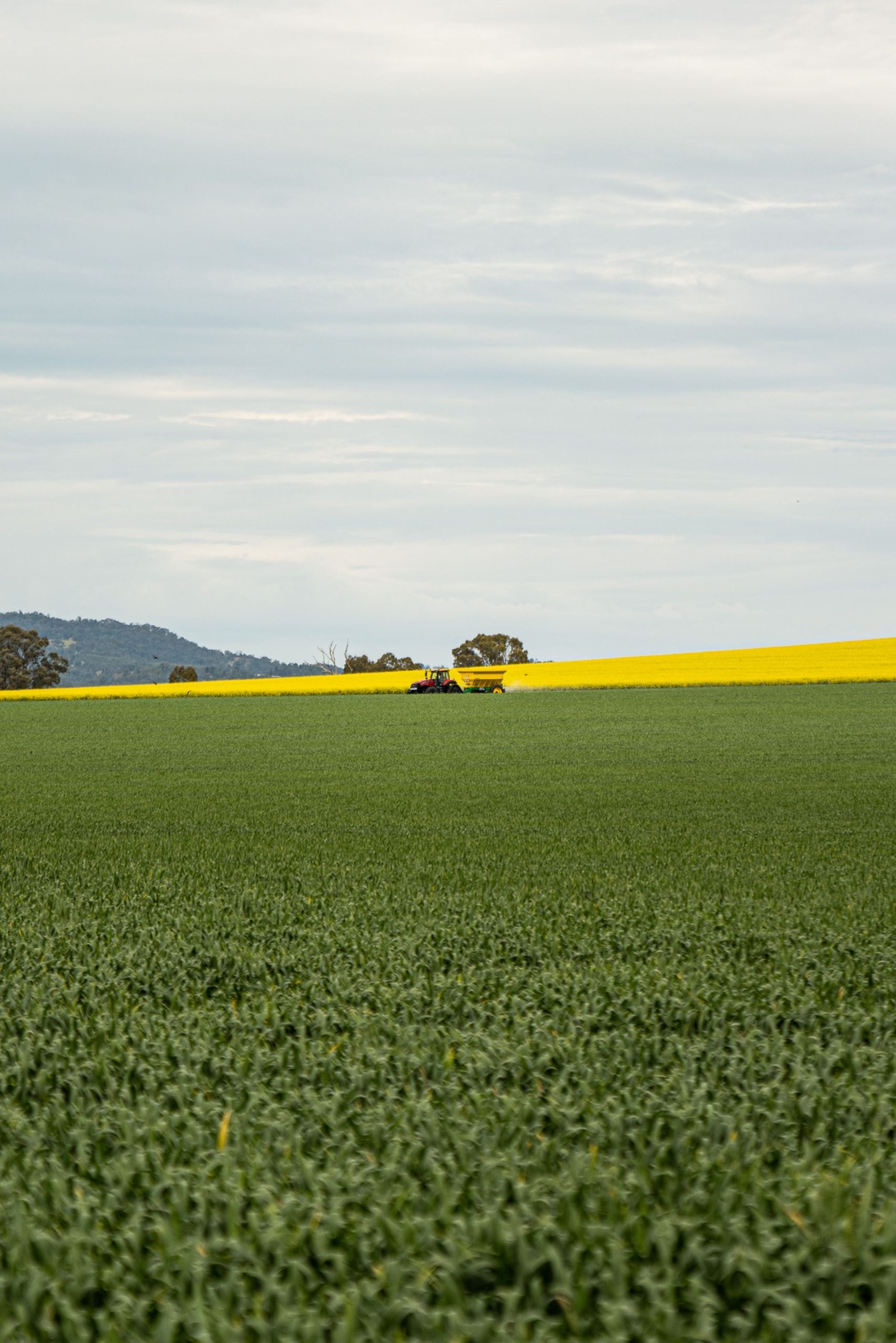 A tractor operates in a vibrant green and yellow field with a distant mountain backdrop.